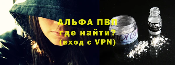 крисы Гусев