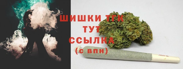 крисы Гусев