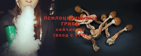 крисы Гусев
