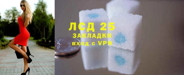 крисы Гусев