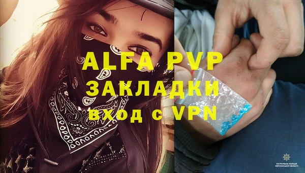 крисы Гусев