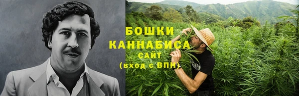 крисы Гусев