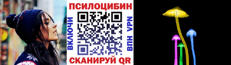 продажа наркотиков  hydra ссылки  Псилоцибиновые грибы MAGIC MUSHROOMS  Находка 